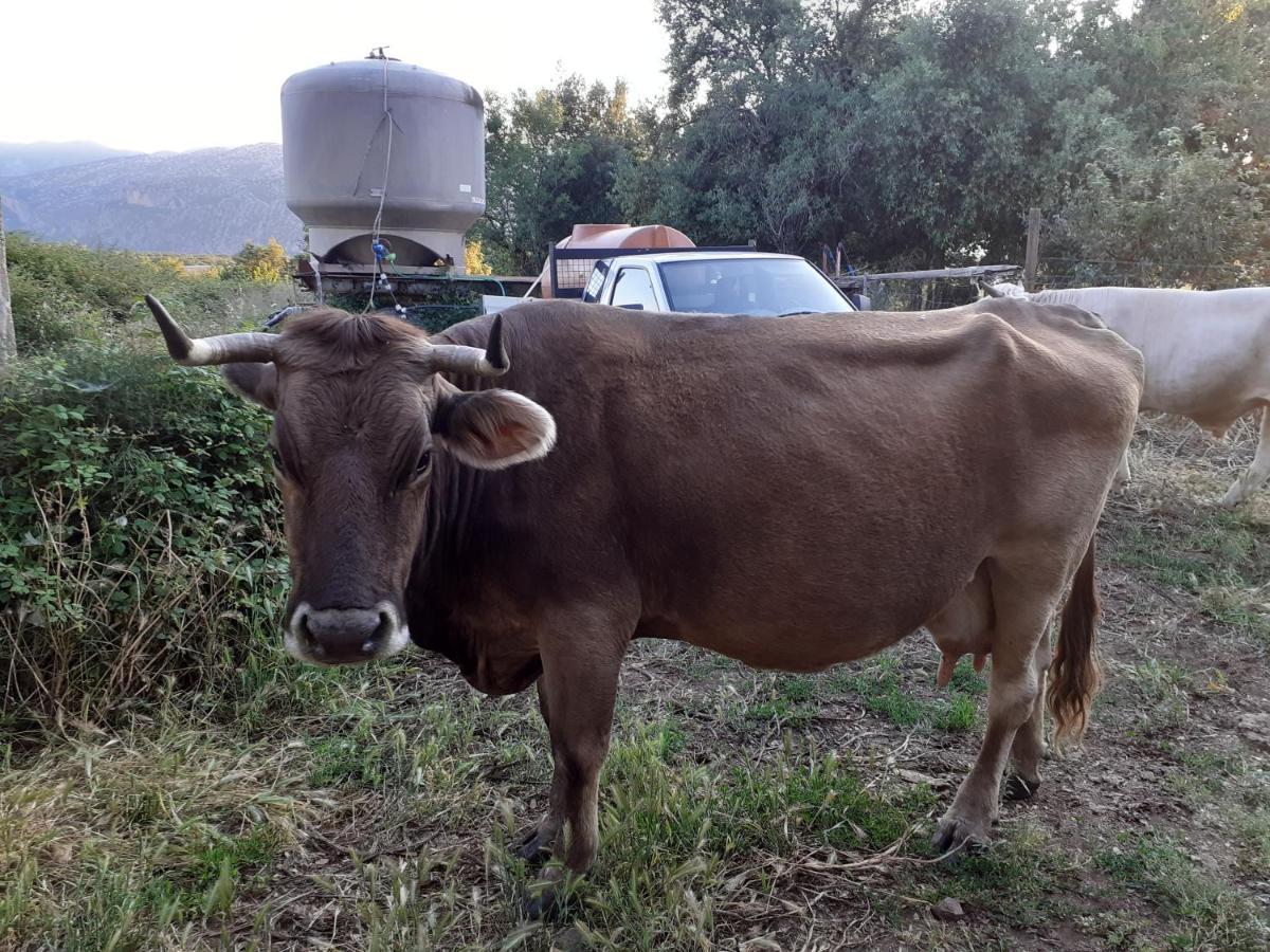 Agriturismo Codula Fuili Cala Gonone Bagian luar foto