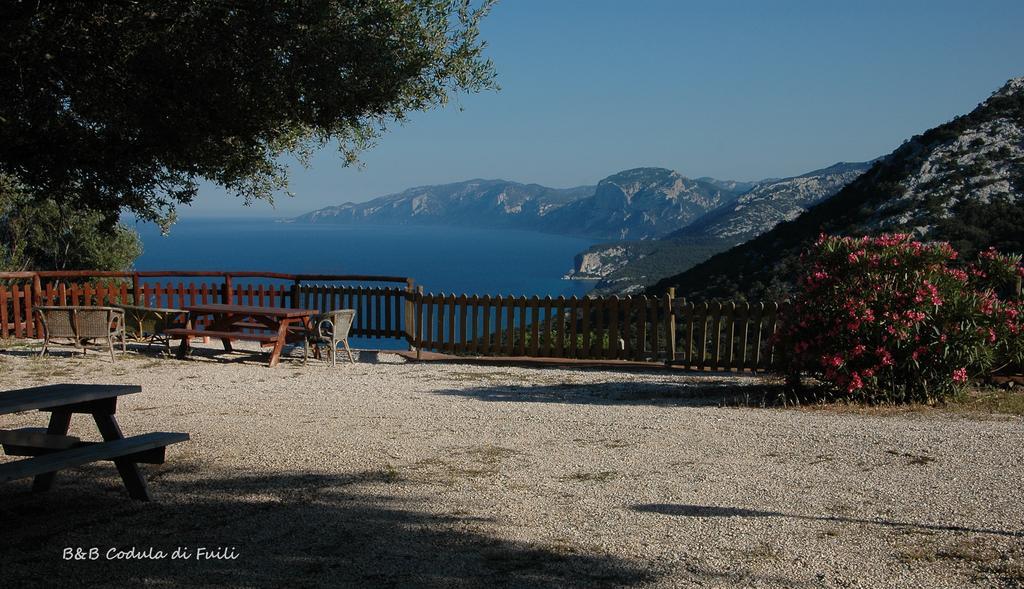 Agriturismo Codula Fuili Villa Cala Gonone Ruang foto