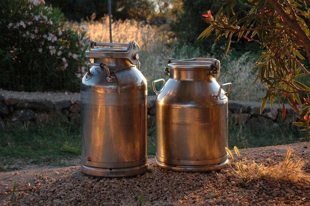 Agriturismo Codula Fuili Cala Gonone Bagian luar foto