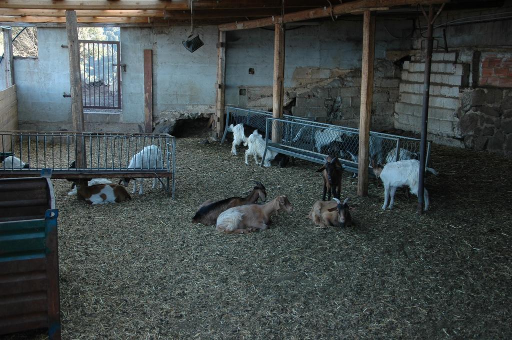 Agriturismo Codula Fuili Cala Gonone Bagian luar foto